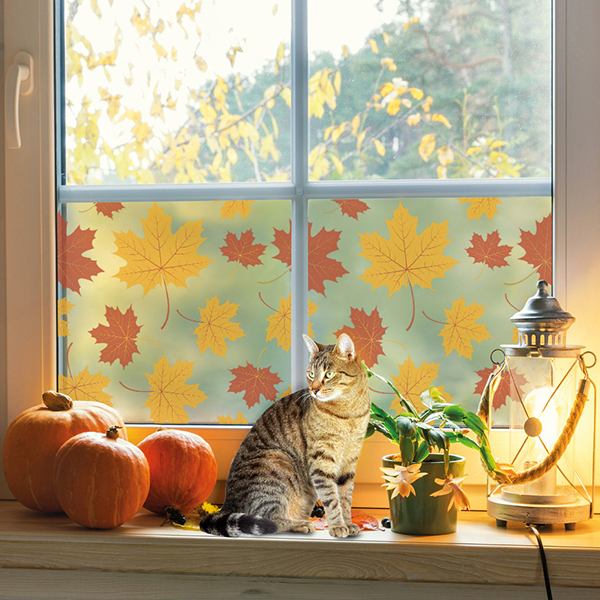 +7000 idei de decor pentru casa ta