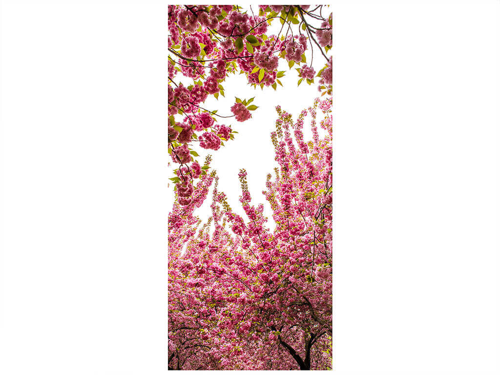 Autocolant uşă Blossom, Folina, model floral, dimensiune autocolant 92x205 cm