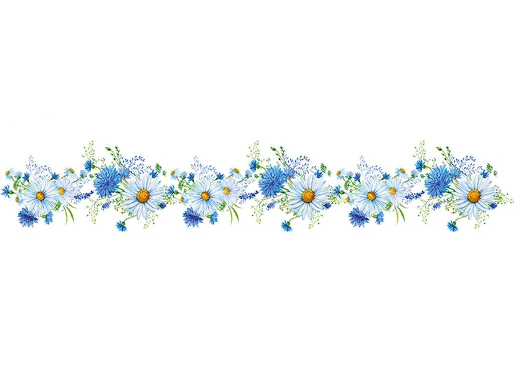 Bordură decorativă autoadezivă, Folina, margarete şi flori albastre, 17x200 cm