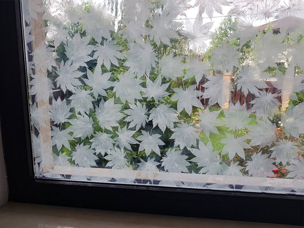 Folie geam autoadezivă cu model frunze albe pe fundal transparent, rolă de 75x200 cm + accesorii aplicare