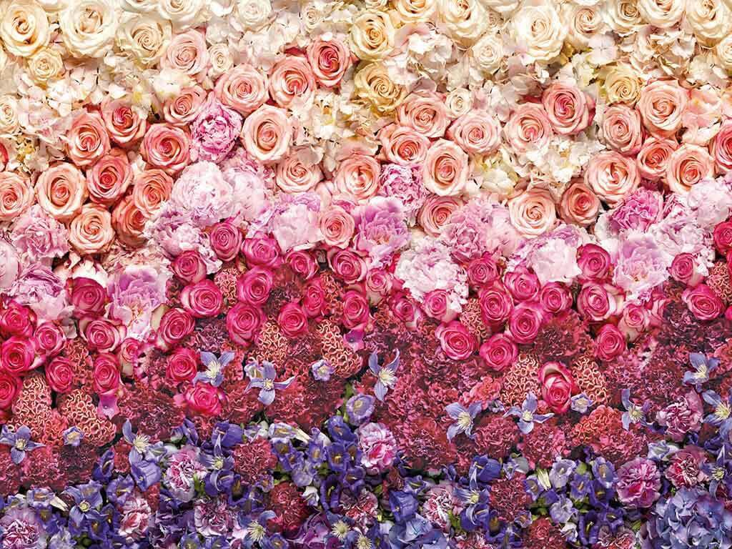 Fototapet floral Intense, Komar, multicolor, 368x254 cm