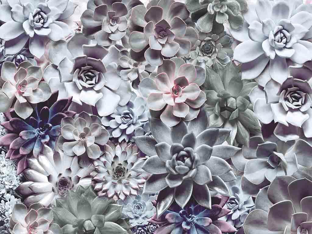 Fototapet floral Shades, Komar, imprimeu floral, multicolor, 368 x 254 cm
