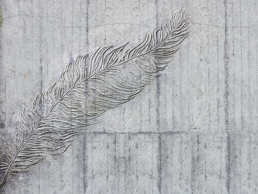 Fototapet modern Betonfeder, Komar, gri, 300x250 cm