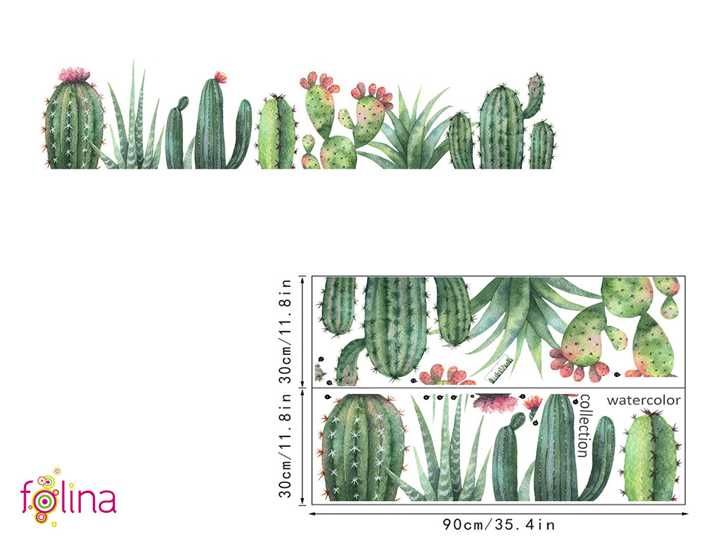 stickere-cactusi-folina-5424
