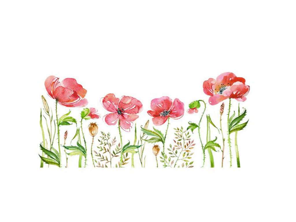 stickere-maci-rosii-watercolor-4007
