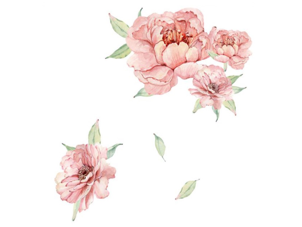 curb diagonal Lily Stickere perete flori watercolor, Folina, bujori roz, 40x60 cm