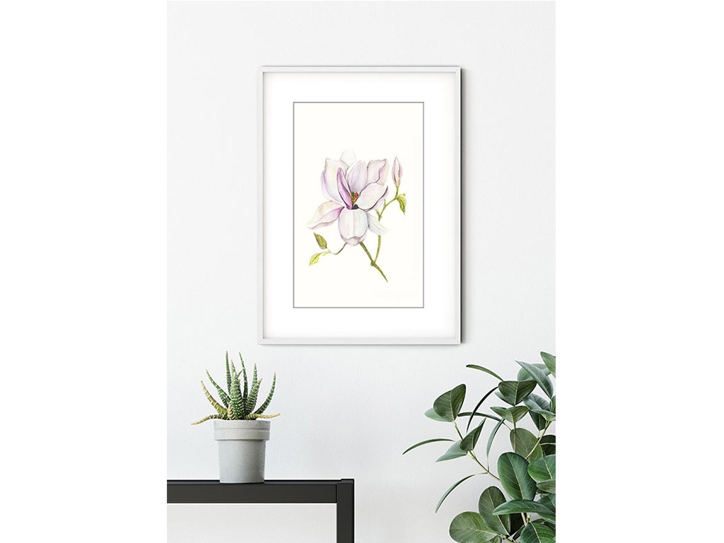 Tablou floral Magnolia Shine, Komar Art Poster, în ramă albă, 40x30 cm