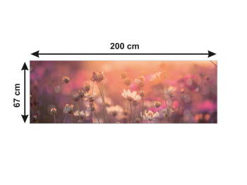 Autocolant perete, Folina, camp cu flori cosmos, rolă de 67x200 cm