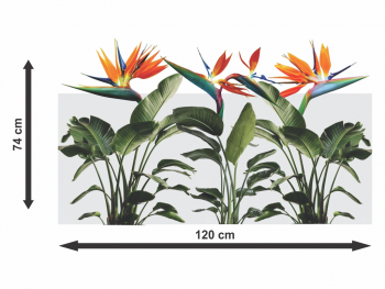 Folie geam autoadezivă Păsările paradisului, cu model decupat, rolă de 74x120 cm, racletă inclusă Autocolant-sablare-pasarile-paradisului-x2-6296