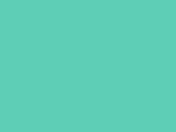 Autocolant verde menta lucios Oracal 641G Economy Cal, Mint 055, 100 cm lățime Autocolant-verde-menta-Mint-Oracal-641-2-9358