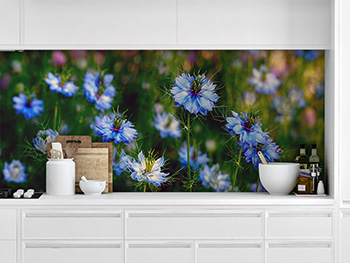 Autocolant perete Floricele albastre cu spini, multicolor, dimensiune autocolant 200x80cm
