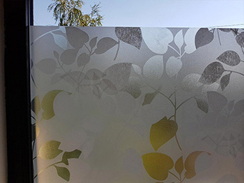 Folie geam electrostatică Amena, d-c-fix, imprimeu frunze, translucida, rola de 67 cm x 5 metri