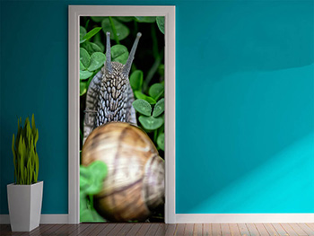 Autocolant uşă Melc, Folina, model multicolor, dimensiune autocolant 92x205 cm