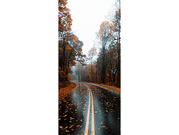 Autocolant uşă Autumn road, Folina, model multicolor, dimensiune autocolant 92x205 cm Strada-toamna-simulare-9668