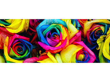 Trandafiri-colorati-simulare-2463