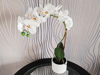 Flori artificiale, Folina, aranjament orhidee albă în vas ceramic alb Blanca, 45 cm înălţime