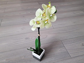 Flori artificiale, Folina, aranjament orhidee verde Borneo, 36 cm înălţime