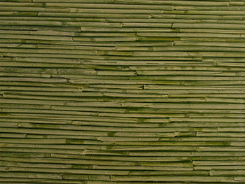 Autocolant decorativ bambus verde Bali