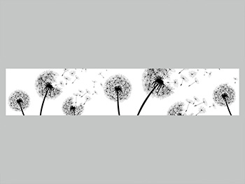 Autocolant perete bucătărie, Folina, alb cu păpădii, rolă de 80x400 cm, cu racletă şi cutter incluse autocolant-perete-papadie-9005
