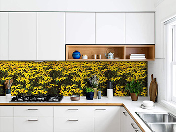 Autocolant perete Lan cu margarete, Folina, model floral galben, rolă de  80x400 cm