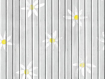 Autocolant uşă, Folina, model lemn gri cu flori margarete, dimensiune autocolant 92x205 cm autocolant-usa-folina-lemn-gri-cu-model-floral-margarete-8240