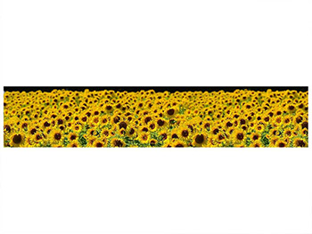 autocolant-decorativ-floarea-soarelui-6479