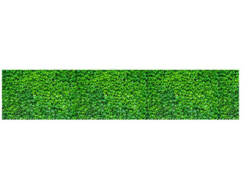 Autocolant decorativ Iederă verde, Folina, rolă de 80x400 cm