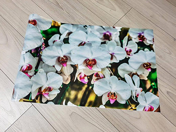 Autocolant perete, Folina, model Orhidee, rolă de 90x300 cm