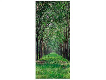 Autocolant uşă Natură, Folina, culoare verde, rolă de  92x205 cm