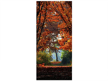 Autocolant uşă Pădurea toamna, Folina, model multicolor, dimensiune autocolant 92x205 cm autocolant-usa-padure-8594