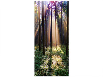 Autocolant uşă Raze de lumină, Folina, model multicolor, dimensiune autocolant 92x205 cm autocolant-usa-raze-de-lumina-7087