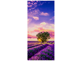 Autocolant uşă Câmp lavandă, Folina, model multicolor, dimensiune autocolant 92x205 cm autocolant-usa-camp-lavanda-1-8943