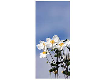 Autocolant uşă Dalii albe, Folina, model floral, dimensiune autocolant 92x205 cm autocolant-usa-dalie-1-2913