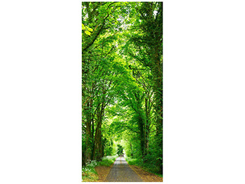 Autocolant uşă Drum prin pădure, Folina, culoare verde, dimensiune autocolant 92x205 cm autocolant-usa-drum-prin-padure-1-2531