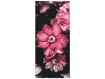 Autocolant uşă Floare roz, Folina, model floral, dimensiune autocolant 92x205 cm autocolant-usa-floare-roz-1-7837