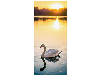 Autocolant uşă Lebădă pe apă, Folina, model multicolor, dimensiune autocolant 92x205 cm autocolant-usa-lebada-1-4837