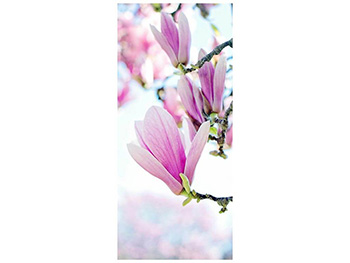 Autocolant uşă Floare de Magnolie, Folina, culoare roz, dimensiune autocolant 92x205 cm autocolant-usa-magnolie-1-7869