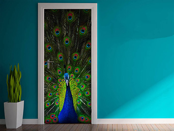 Autocolant uşă Păun, Folina, model multicolor, dimensiune autocolant 92x205 cm