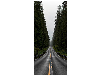 Autocolant uşă Stradă prin pădure, Folina, model cu peisaj, dimensiune autocolant 92x205 cm autocolant-usa-strada-prin-padure-1-2144