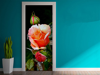 Autocolant uşă Trandafir cu boboci, Folina, model multicolor, dimensiune autocolant 92x205 cm autocolant-usa-trandafir-1-1832