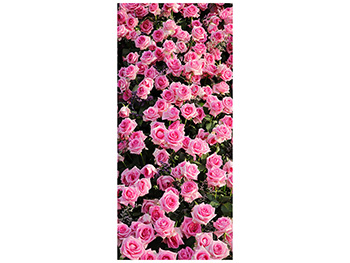 autocolant-usa-trandafiri-roz-1-2274