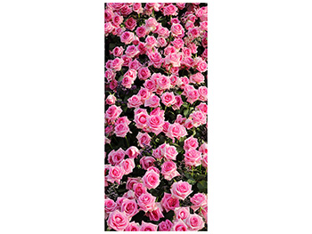Autocolant uşă Trandafiri roz, Folina, model floral, dimensiune autocolant 92x205 cm autocolant-usa-trandafiri-roz-1-2274