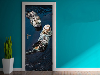 Autocolant uşă Vidre, Folina, model multicolor, dimensiune autocolant 92x205 cm