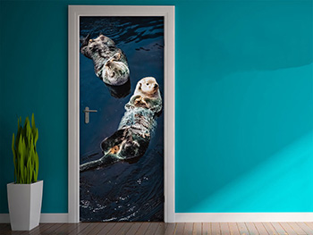 Autocolant uşă Vidre, Folina, model multicolor, dimensiune autocolant 92x205 cm autocolant-usa-vidre-1-3598