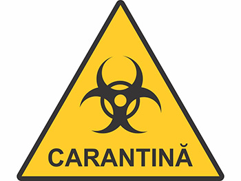 carantina-7902