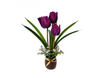 decoratiune-cu-lalele-mov-4606