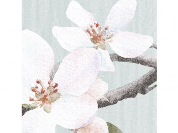 Fototapet floral Apple Bloom, Komar, crengi înflorite şi păsări, 250x250 cm