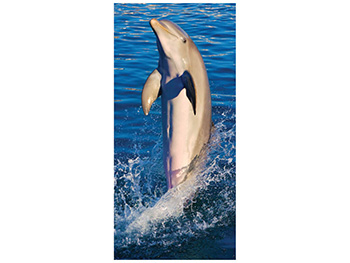 Folie cabină duş, Folina, model delfin, rolă de 100x210 cm