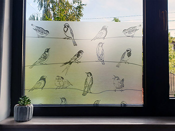 Folie geam autoadezivă Birdy, Folina, sablare cu model pasari gri, 100 cm lăţime
