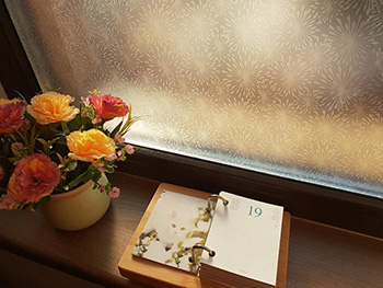 Folie geam autoadezivă Elya, Folina, model floral 100 cm lăţime